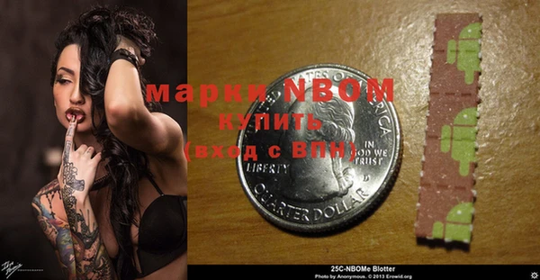 ГАЛЛЮЦИНОГЕННЫЕ ГРИБЫ Щигры